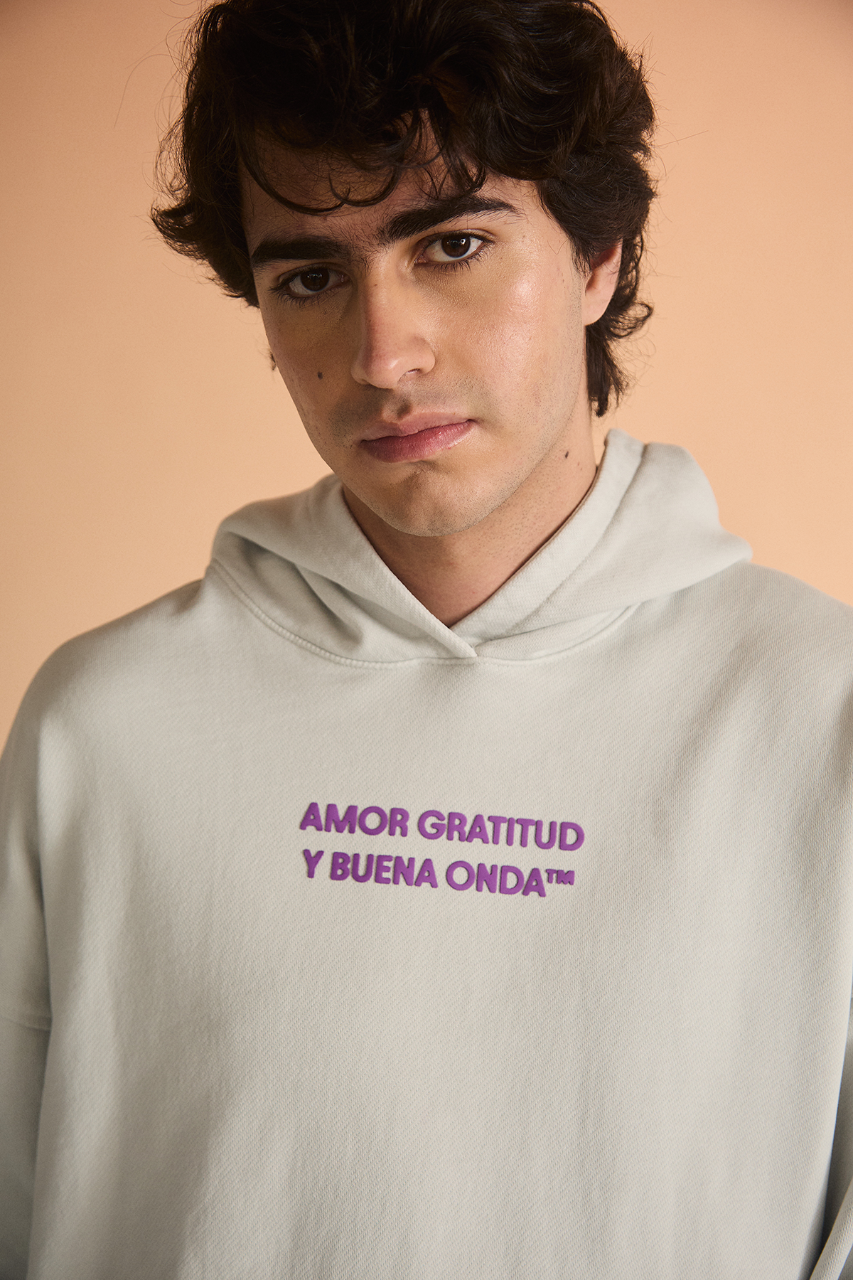SIGNATURE HOODIE  GREY