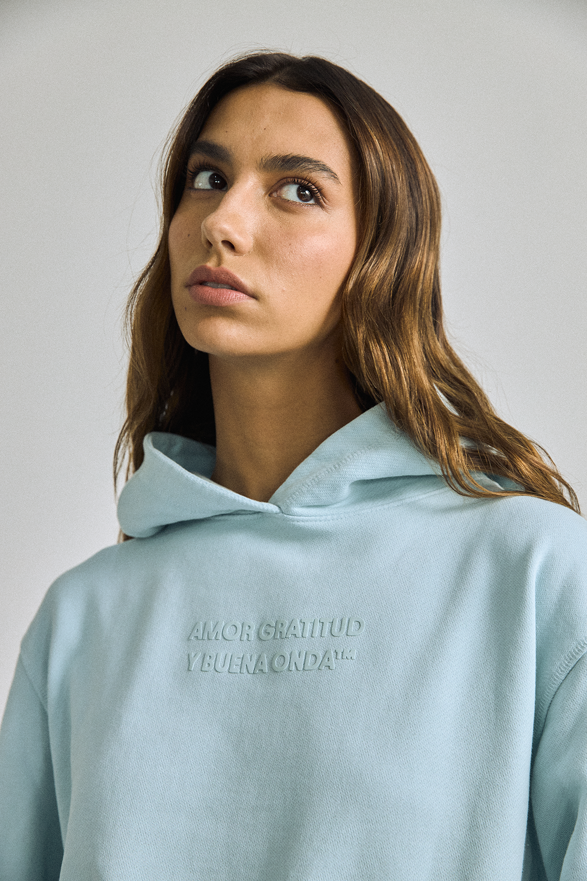 SIGNATURE HOODIE LIGHT BLUE