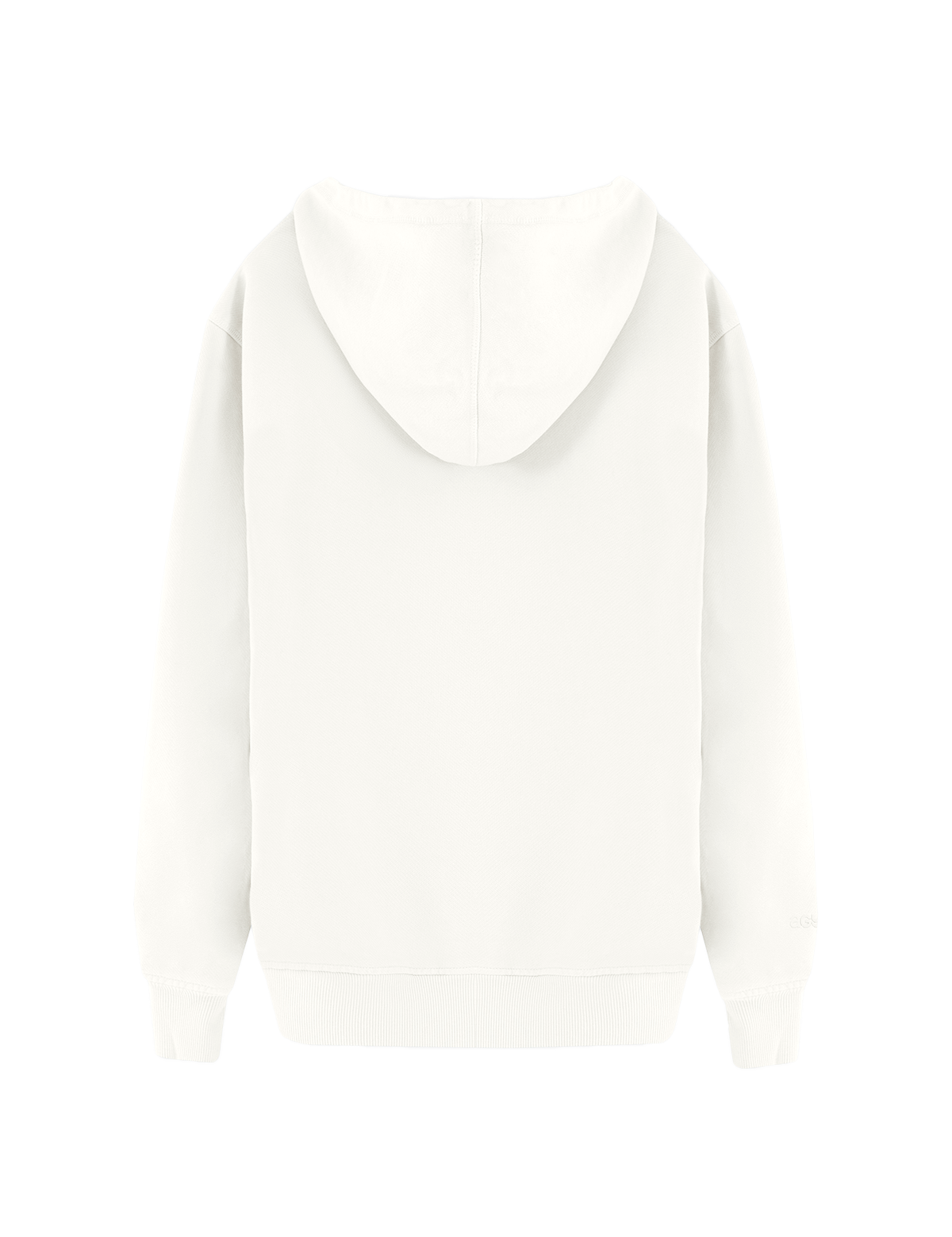 ICONIC_OFFWHITE_HOODIE_BACK.png