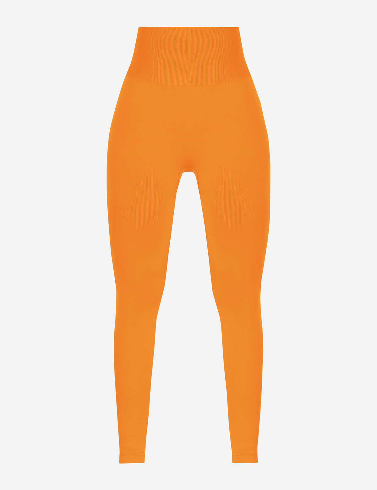 MG_0549.png